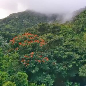 Meet your Posher, Maya